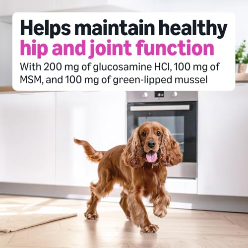 Image of Amazon Basics Dog Hip & Joint Daily Supplement Chews with Glucosamine, MSM, and Vitamin C, Duck Flavored, 60 Count, Packaging May Vary