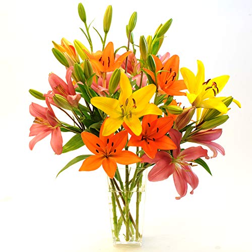 Stargazer Barn Autumnal Sunrise Bouquet Large Royal Lilies with Vase Freshly Cut from our farm- California Grown, Fresh Flowers, 30 Count