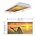 Fluorescent Light Cover for Classroom Ceiling Lights - Premium Backlit Film Insert 2x4 (22.38