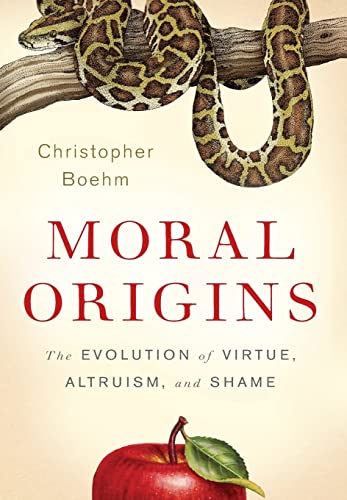 Moral Origins view 2