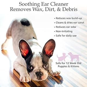 Ear cleansing solution for dogs and cats  pet ear cleaner removes odor  wax  deodorizing dog ear cleaner solution with aloe  vitamins  sweet pea  vanilla scent  8 oz   cucciolini doodles