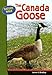 Produktbild The Canada Goose (Nature Walk)