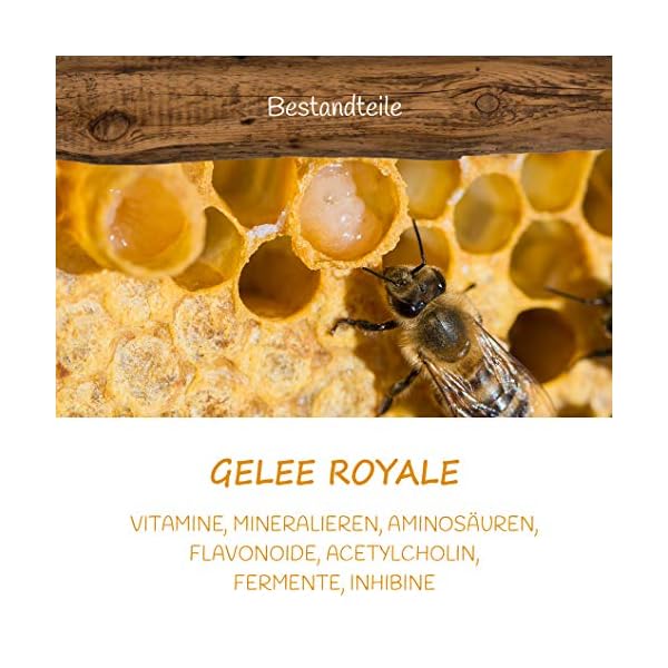 HERCULES 67% HONIG + 30% FRISCHE BLÜTENPOLLEN (NICHT GETROCKNET) + 2% GELEE ROYALE + 1% PROPOLISEXTRAKTPULVER (CREMIG… – Bild 7