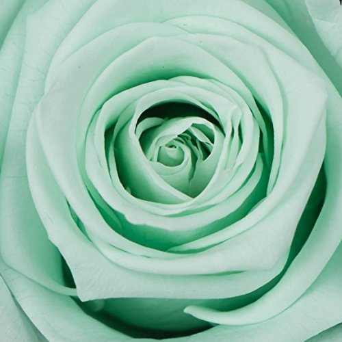 INFINITY Flower Box Small Box (bianco) Articoli da...