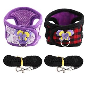 2Pcs Chinchilla Harness and Training Rope Small Animal Outdoor Walking Vest for Rabbit Squirrel Bunny Ferret Guinea Pig Red Grid+Purple Hearts(S)