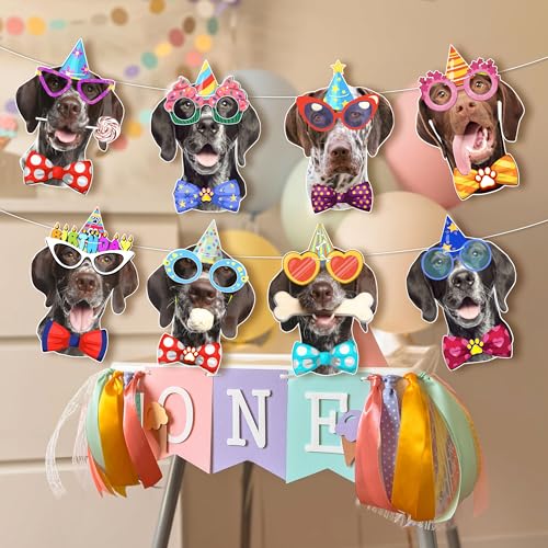 Image of German Shorthaired Pointer Dog Birthday Garland, Photographic GSP Faces Birthday Banner, Funny German Shorthaired Dog Bday Party Bunting Decoration