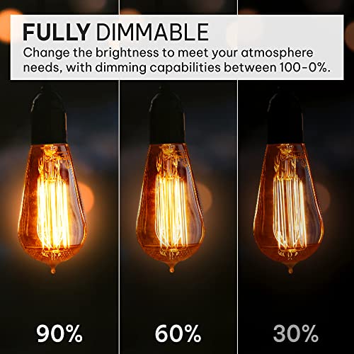 image for Hudson Bulb Co. Vintage Incandescent Edison Light Bulbs, 60W, E26/E27 