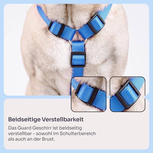 Chaba Guard Hundegeschirr für kleine und mittelgroße Hunde mit Kontrolle, Anti-Zug & Würgen, Verstellbar, Bequem und Leicht, Classic Step-in Brustgeschirr, Dog Harness, Größe M, BLAU