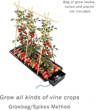 AutoPot Tray2Grow System - Standard Tray2Grow with 13 Gal FlexiTank - Self-Watering, Gravity-Fed Hydroponic Indoor System, Black
