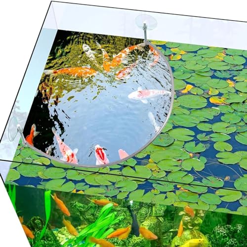 GAOSHA Aquariums Floating Plant Floating Plant Fence Fish Feeding Rings for Fishtanks Househould Fishtanks Supplies