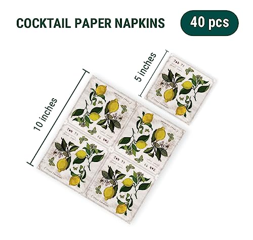 Lemon-Napkins-LEMON-BOTANY-with-Butterflies-40pcs-Lemon-Cocktail-Napkins-Summer-Cocktail-Napkins-Decorative-Napkins-Floral-Napkins-Decoupage-Paper-Napkins Lemon Napkins LEMON BOTANY with Butterflies 40pcs Lemon Cocktail Napkins Summer Cocktail Napkins Decorative Napkins Floral Napkins Decoupage Paper Napkins