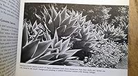 Sunset Succulents and Cactus B0013L2YZY Book Cover