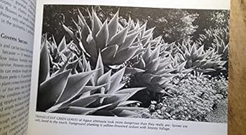 Paperback Sunset Succulents and Cactus Book