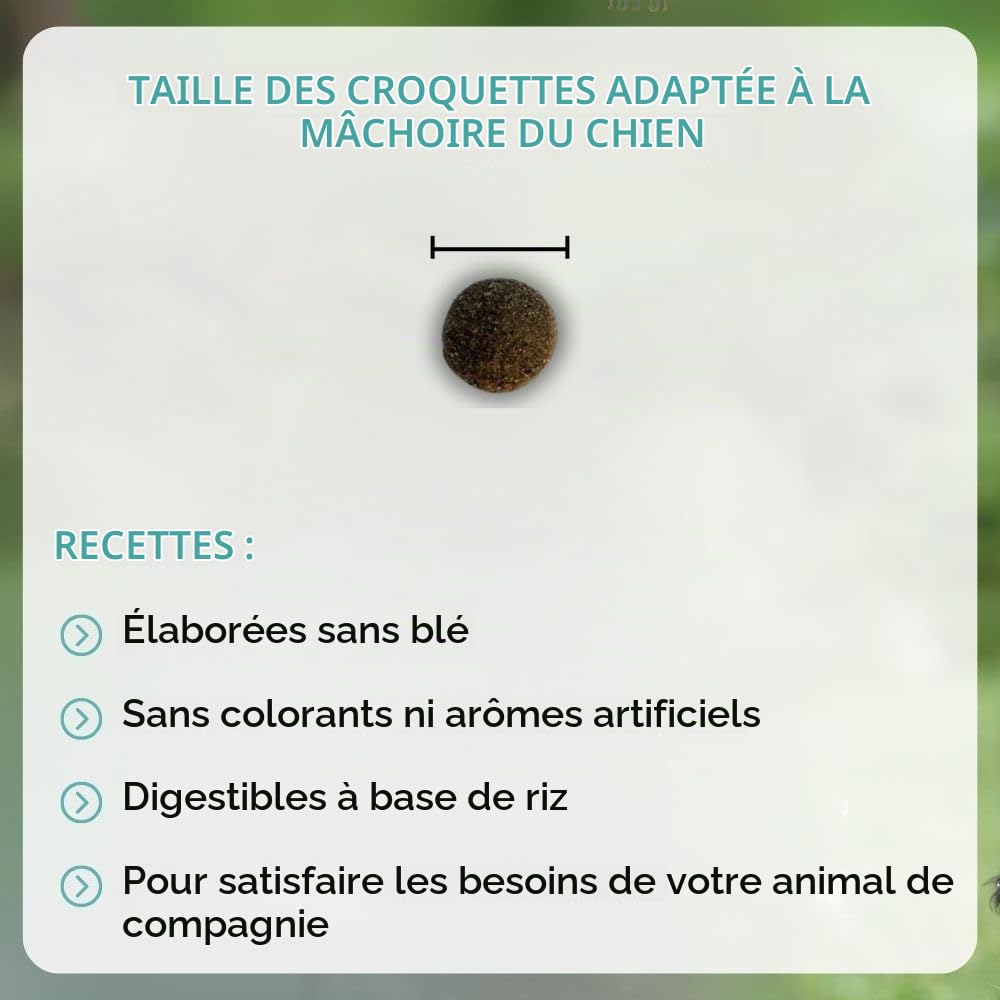 NUTRIVET - Super Premium - Adulte Balance - Croquettes sans Blé - Chien - Riche en Protéines Animales - 15 kg