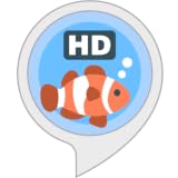Fischschwarm für Echo Show
