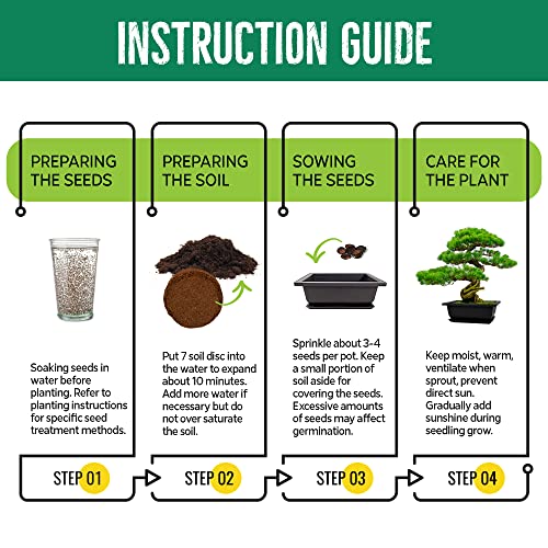 image for REALPETALED Bonsai Starter Kit – Japanese Bonsai Tree Kit with Bonsa