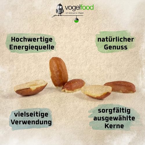 25 KG teilblanchierte Erdnusssplits Erdnüsse Splits Beste Qualität