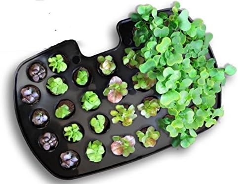 Close-up of AeroGarden Seed Starting System tray with various seedlings