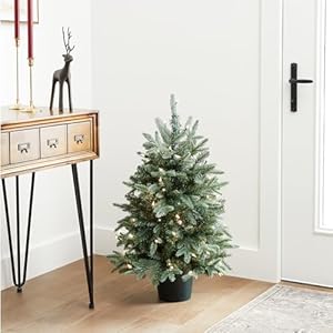 Nationaltreecompanyartificialchristmastreeforentrancesincludeswhitelightsandpoteverydaycollections3ft Urban Country Home Decor National tree company artificial christmas tree for entrances includes white lights and pot everyday collections 3 ft urban country home decor