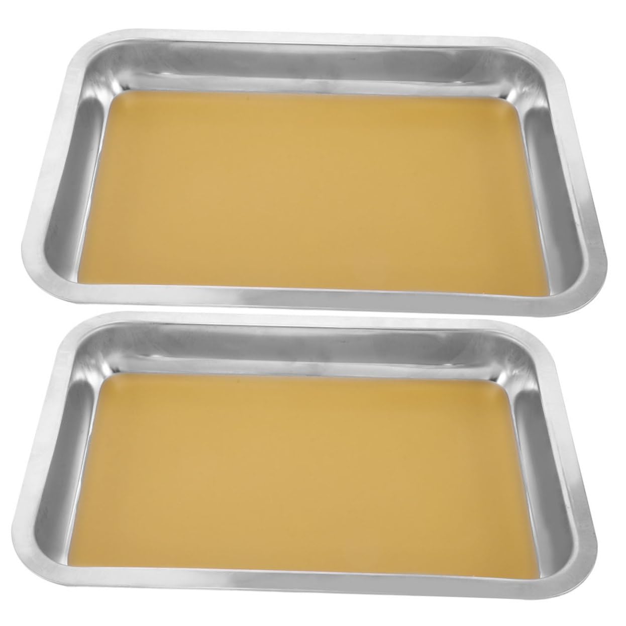 TOYANDONA 2pezzi Vassoio Di Dissezione in Acciaio Inossidabile Guida Trasparente Due Impilabili Per Campioni Scientifici Laboratori Di Biologia e Scolastiche
