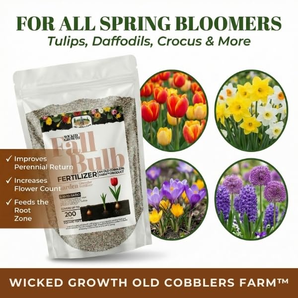 Old Cobblers Farm™ Wicked Growth Fall Bulb Fertilizer – Flowering Bulb Plant Food for Tulips, Daffodils, Hyacinths & for Stronger Roots, Bigger Blooms, Cold-Weather Formula (5/10/15/20 lbs) (5 lbs)