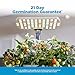AeroGarden Harvest Lite in Cream, Soil-Free Indoor Hydroponic Garden with LED Grow Light for Year-Round Gardening of up to 6 Herbs and Vegetables
