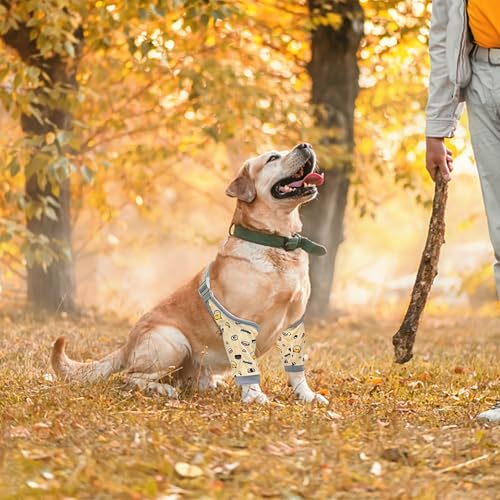 Image of Dog Elbow Protector for Front Leg Calluses, Doggy Joint Recovery Sleeve for Prevent Licking, Adjustable Dog Elbow Pads Leg Wound Care, Pet Knee Brace Protector for Canine Sprain Arthritis, Cartoon,2XL