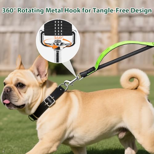 Euqvunn 3-in-1 Doppelte Gepolsterte Griffe Hundeleine – 1,6m bis 2,2m, Elastische Joggingleine Hunde Zubehör für Mittelgroße Hunde, Ideal für Laufen, Spazierengehen, Wandern & Reisen