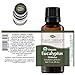 Plant Therapy Organic Eucalyptus Globulus Essential Oil 100% Pure, USDA Certified Organic, Undiluted, Natural Aromatherapy, Therapeutic Grade 30 mL (1 oz)