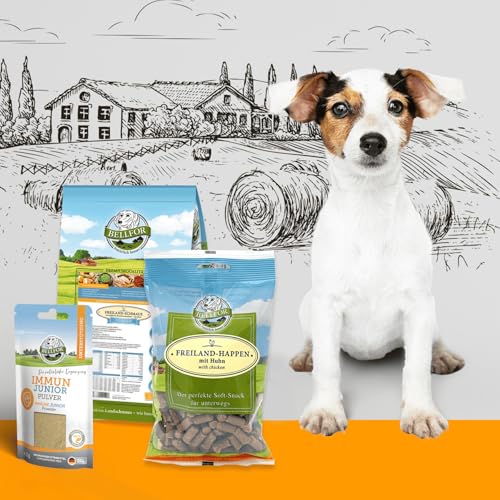 Bellfor Welpenfutter Set für Kleine Rassen Freiland-Schmaus Junior 2,5 kg Freiland-Happen 200g und Immun Pulver Junior 50g versorgt Welpen mit wichtigen Aminosäuren sowie zahlreichen Mikronährstoffen