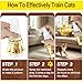 Cat Deterrent Spray, Effective Pet Spray for Anti Cats Scratch Furniture, Curtain, Sofa and Plant, Cat Scratch Deterrent Aid for Pet Behavior Training(100ML)