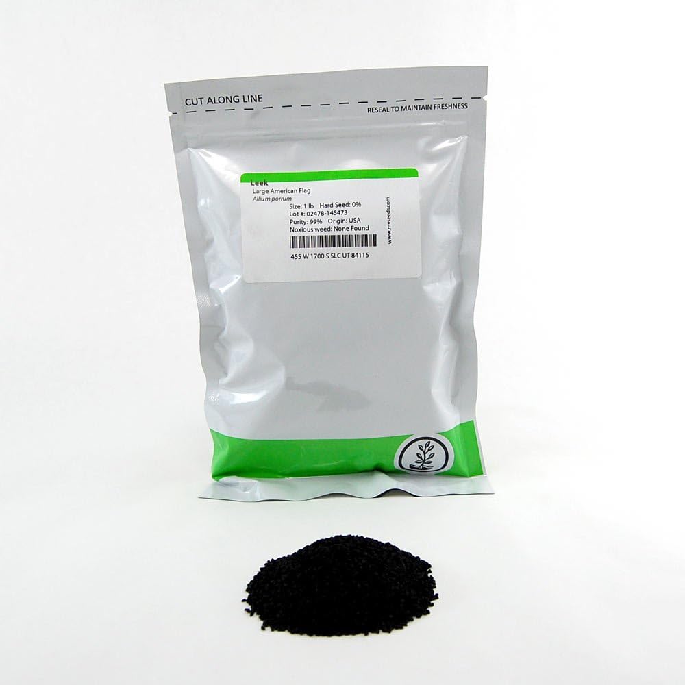 Large American Flag Leek Seeds: 1 Lb - Bulk, Non-GMO Vegetable Garden Seeds, Growing Microgreens