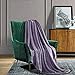 Luxury Soft Plush Purple Throw Blanket for Sofa, Couch | Velvet Fleece Chevron Pattern Throw | Cozy Lightweight Microfiber, Reversible Blanket | All Season Use | 50 x 60 Inches