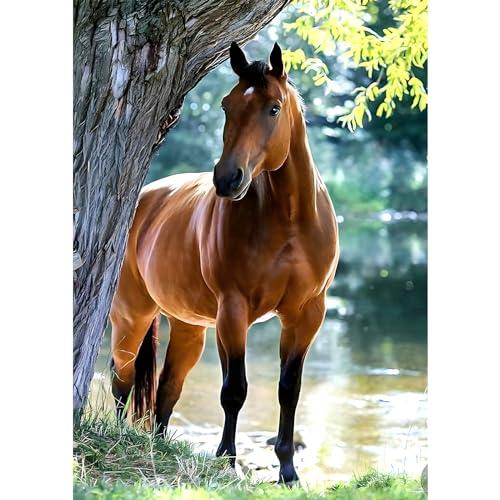 MXJSUA DIY Diamant Painting Kit, Cheval près du Lac 5D Dessin Art du Diamant Complet Kits, Diamond Art Kits Strass Point de Croix Painting pour Adultes Débutants...