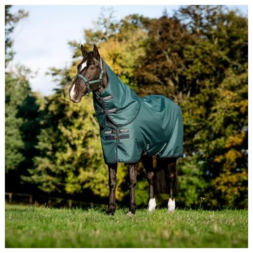 Horseware Amigo Ripstop 900D Plus Turnout 100g Decke Dynasty Green/Navy & Silver, Deckengröße:160 cm / 7´0