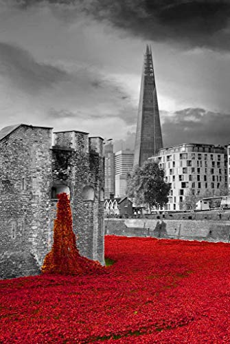 Photo Tour de Londres Coquelicots Blood Swept Lands poster Angleterre UK