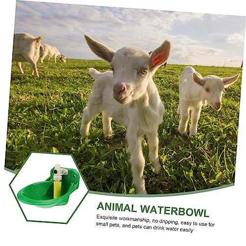 BUGUUYO 1 Peça Tigela Bebedouro Para Ovelhas Cabra Alimentador De Água Para Animais De Estimação Beb