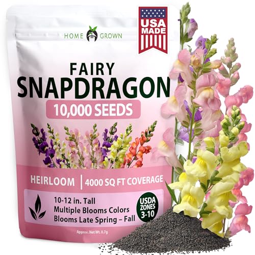 Image of HOME GROWN Snapdragon Fairy Seeds - 10000 Snapdragon Seeds for Spring Planting 2026, Dwarf Plants, Long Blooming Flower Seed for Garden Beds, Pollinator Friendly (Antirrhinum Majus)