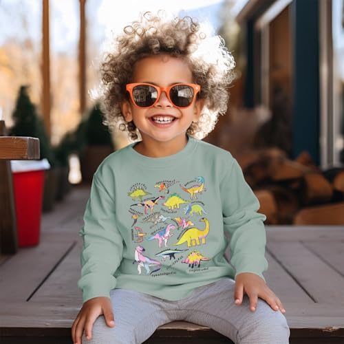 MODNTOGA Dinosaur Sweatshirt Toddler Boy Girl T-rex Ranch Crewneck Shirt Long Sleeve Dino Graphic Top Baby Fall Winter Outfit3