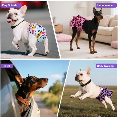 Image of Female Dog Diapers Reusable No Tail Hole Period Panties Washable Diapers Female for Docked-Tail Frenchie French Bulldog Boston Terrier Without Tail (2 Pack Regular+2 Pack Skirts) U-WWDQB03XS