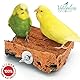 Vogelgaleria® Korksitzbrett 10x10cm für Wellensittich, Nymphensittich zum Knabbern und Sitzen| Handgemachtes Vogelzubehör aus Deutschland, Sitzbrett für Vögel