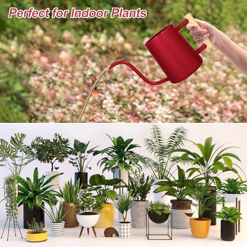 Image of Watering Can Indoor Plants, 35 oz /1000 ml Metal Stainless Steel Watering Can Pot with Long Spout for Indoor House Plants Bonsai Outdoor Garden Flower Decorative (Red)