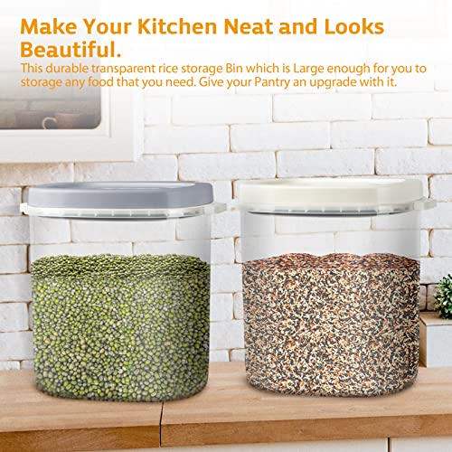 Large-Airtight-Food-Storage-Container-Bin-20-lb-Dry-Food-Rice-Container-with-Lid-Lock-Handle-and-Measuring-Cup-Cereal-Flour-Dog-Cat-Pet-Food-Containers - Cucciolini Doodles   Large-Airtight-Food-Storage-Container-Bin-20-lb-Dry-Food-Rice-Container-with-Lid-Lock-Handle-and-Measuring-Cup-Cereal-Flour-Dog-Cat-Pet-Food-Containers