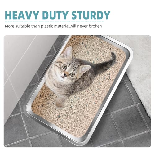Arenero de acero inoxidable para gatos grande miniatura 4