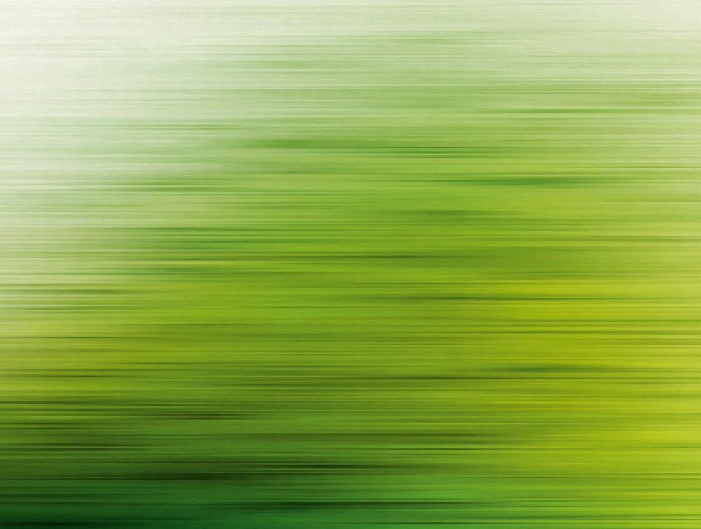 Livingwalls Papel pintado fotográfico moderno verde 382611 para salón, dormitorio, cocina, 3,71 x 2,80 m, fabricado en Alemania