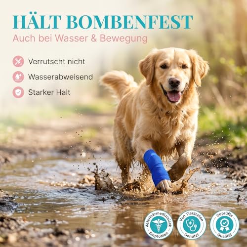 HUND IST KÖNIG selbstklebender Verband, elastische Binde 12x4,7m selbsthaftende Bandage, Haftbandage selbstklebend für Mensch & Tier, Fixierbinde - selbsthaftender Verband selbstklebend, Bandagen