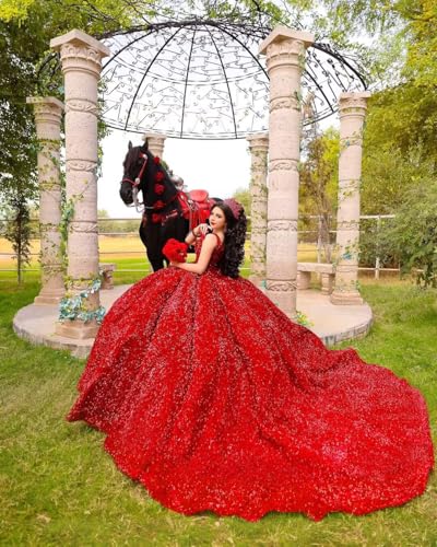 Sparkly Sequin Quinceanera Dresses with Train Gorgeous Puffy Ball Gown Long Sweet 16 Dress3