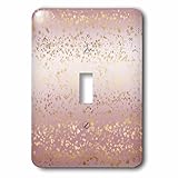 3dRose lsp_280777_1 Light Switch Cover, Varies