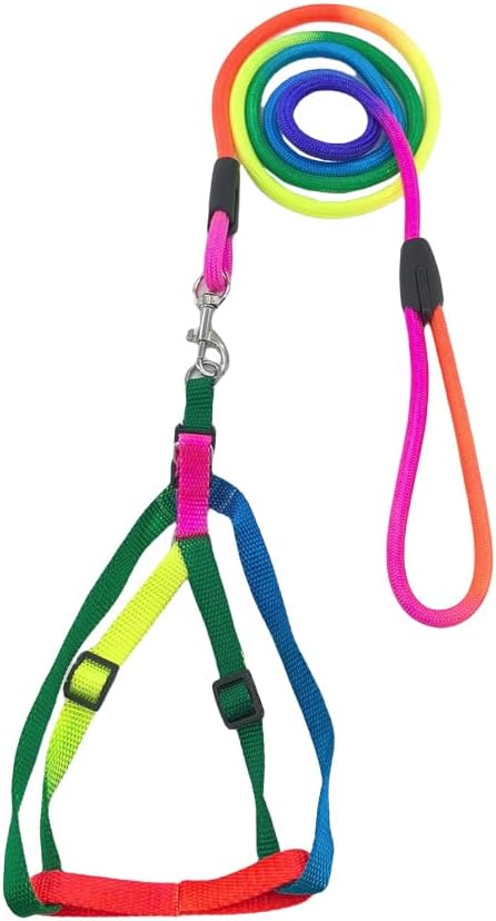 Dog Harness & Leash Set Rainbow – Comfortable Wear, Durable & Stylish Tangle-Free Dog Leash for All-Weather Outdoor Adventures (s)