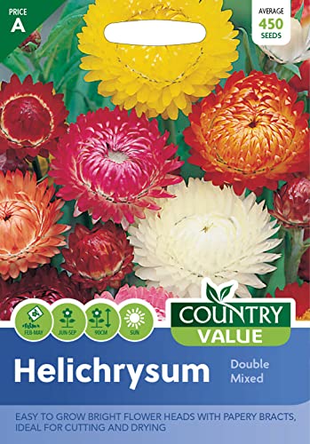 Helichrysum Seeds Double Mixed by Country Value Flower